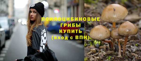 гашик Армянск