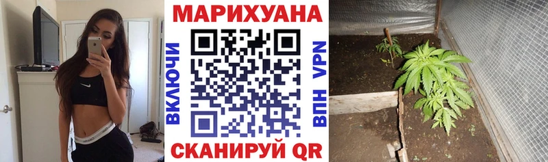 как найти   Пересвет  Канабис SATIVA & INDICA 